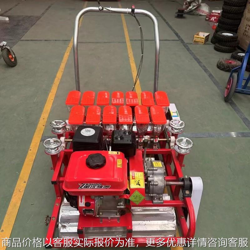 工厂直发自走式精密播种机 香菜菠菜白菜点播机 十行药材种植机