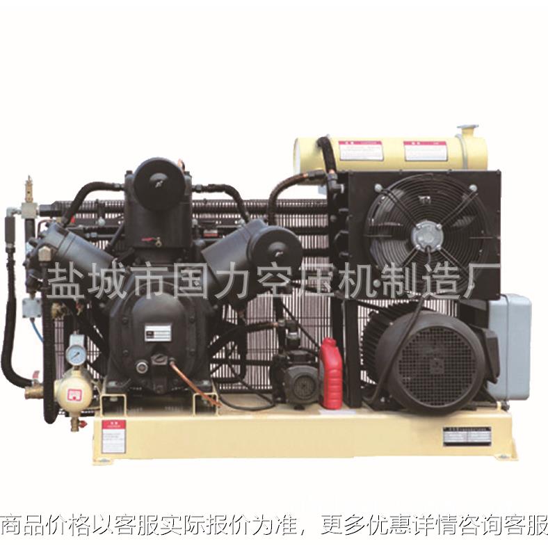 供应 FW200TE 吹瓶式皮带式空压机 大丰空气压缩机生产厂家