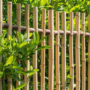 竹篱笆栅栏围栏户外院子竹子隔断挡墙花园围挡爬藤架园林工程别墅