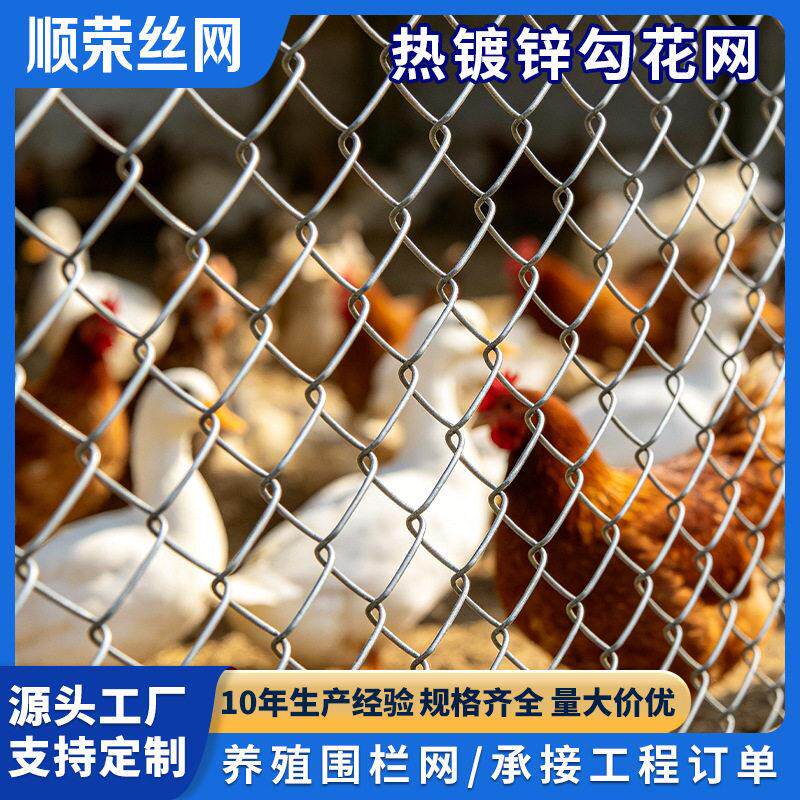 养殖围栏网菱形勾花网畜禽圈养防护网隔离网规格多样矿用勾花网