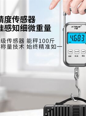 便携式充电手提电子秤精准快递称专用随身家用弹簧称快递员口袋称