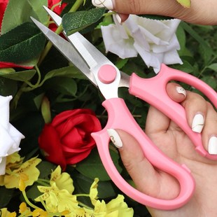 园艺剪刀家用剪树枝剪花剪纸专用剪刀修剪剪刀手工花艺剪刀修枝剪