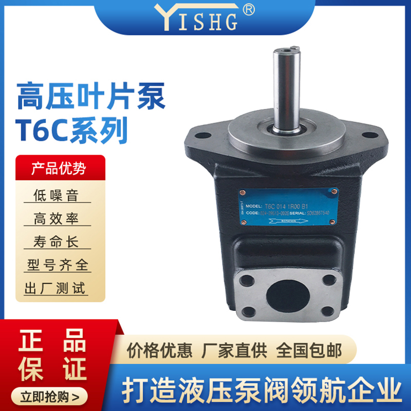 DENISON丹尼逊T6C 014 1R00 1R01 1R02叶片泵液压泵油泵液压站