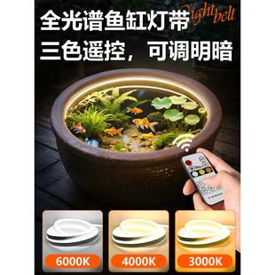 全光谱鱼缸灯带古法养鱼专业防水可遥控定时水草圆形陶瓷led灯条