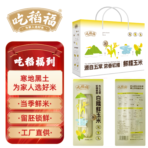 吃稻福五常市白糯鲜玉米