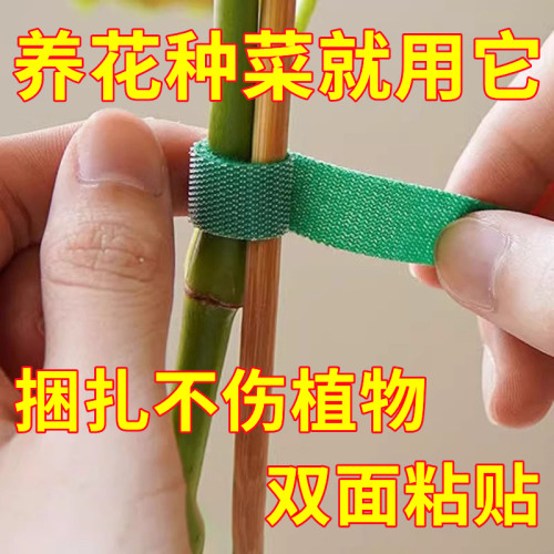 绑花扎带绿植龟背竹魔术贴园艺扎线植物捆绑定型绑带插花固定神器