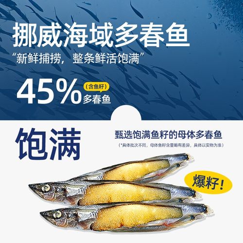 喜宠屋&滋奇 多春鱼冻干生骨肉猫粮 美毛营养全阶段猫咪主食200g