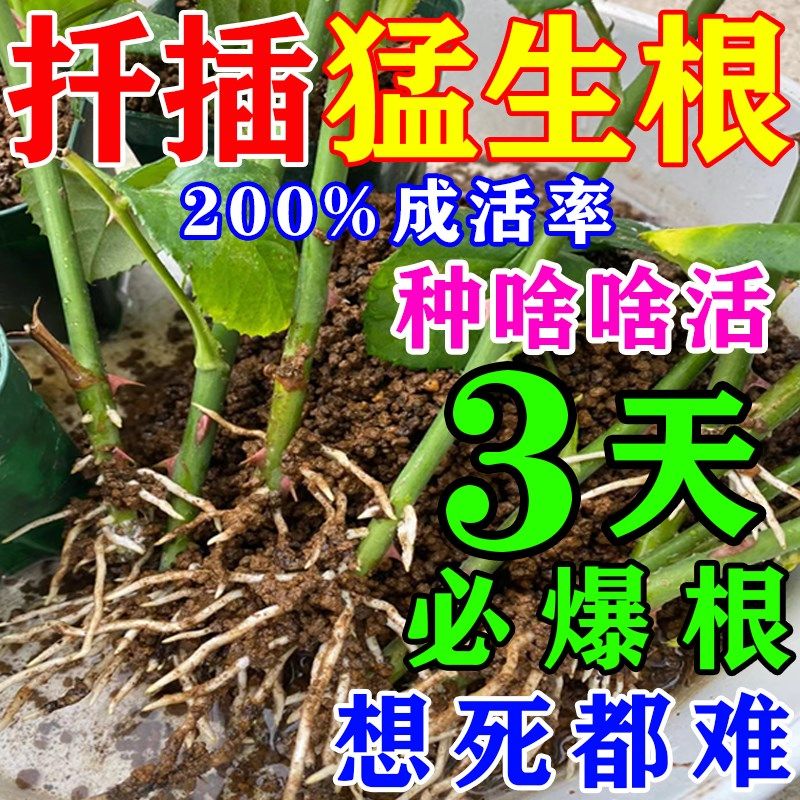 植物扦插生根剂玫瑰月季壮苗剂生根粉树木移栽种植生根液扦插专用,鲜花速递/花卉仿真/绿植园艺,家庭园艺肥料,淘宝优惠券,粉丝福利购,淘宝优惠卷