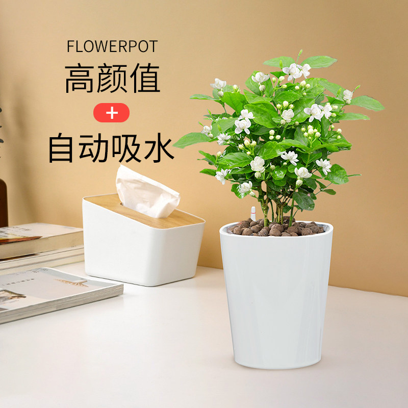 北欧创意长方形懒人花盆室内绿萝花盆桌面自动吸水花盆塑料多肉盆,鲜花速递/花卉仿真/绿植园艺,花盆,淘宝优惠券,粉丝福利购,淘宝优惠卷