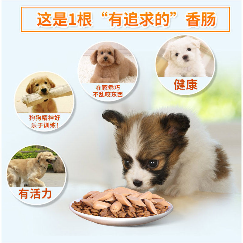 狗狗零食狗火腿肠900g整箱泰迪狗吃的宠物香肠训犬零食补钙无盐,宠物/宠物食品及用品,狗风干零食/肉干/肉条,淘宝优惠券,粉丝福利购,淘宝优惠卷
