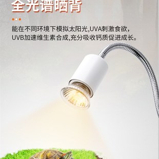 小乌龟灯晒背灯三合一龟用背照灯架uva+uvb灯爬宠全光谱太阳灯泡