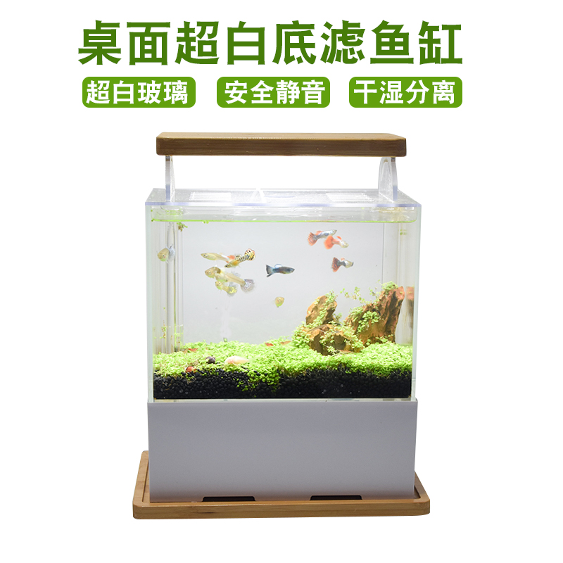 创意桌面迷你底滤鱼缸微缸生态水族箱小型迷你海水缸超白循环鱼缸
