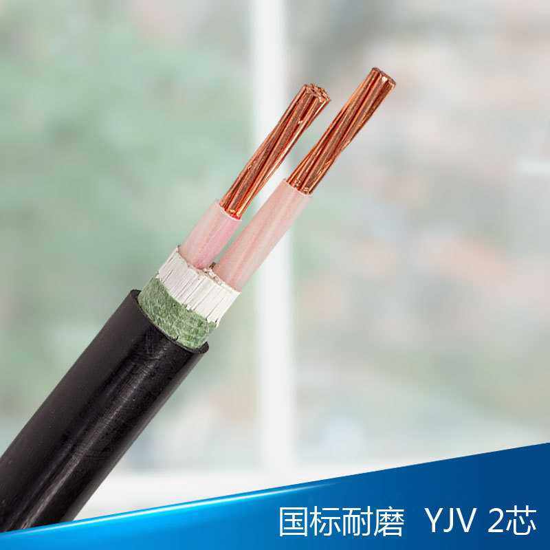 人民线缆YJV2*16铜芯2芯16平方电力电缆国标包检测直销,电子/电工,护套线,淘宝优惠券,粉丝福利购,淘宝优惠卷