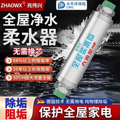 德国全屋中央柔水器自来水前置过滤器家用除水垢软水器阻垢净水器