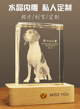 宠物纪念品定制创意礼物狗狗猫咪照片diy水晶灯相册3D内雕送朋友