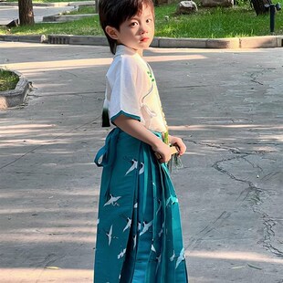 男童马面裙男宝汉服瑞鹤图中国风仙侠古装正版日常套装秋季演出服