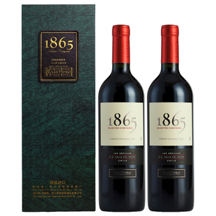 智利原瓶进口红酒圣佩特罗1865赤霞珠干红葡萄酒750ml*2礼盒正品