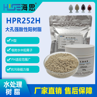 AmberLite HPR252 H 大孔强酸性阳离子交换树脂