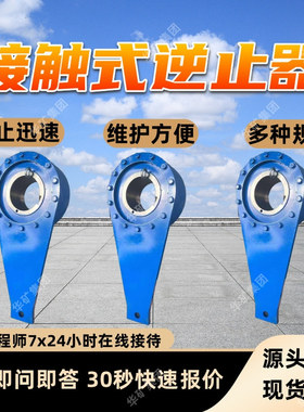 NYD(NJ)200接触式逆止器 逆止迅速维护方便 接触式逆止器
