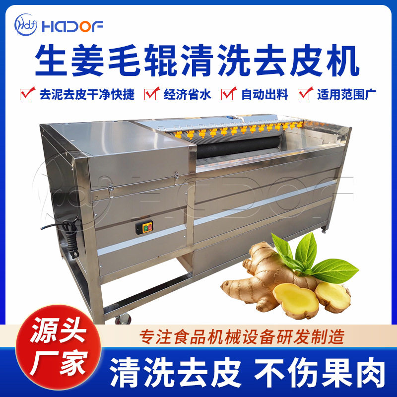 毛辊清洗机魔芋茭白毛刷去皮清洗设备全自动土豆嫩姜去泥皮机器