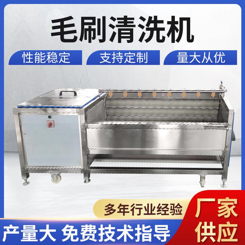 生姜毛刷清洗设备 红薯胡萝卜毛刷去泥机 土豆毛刷清洗机
