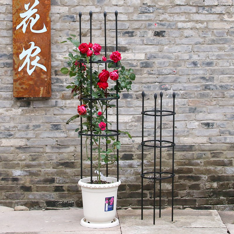 厂家直供番茄架园艺支架黄牛葡萄牵引花支架月季藤攀爬架支撑杆