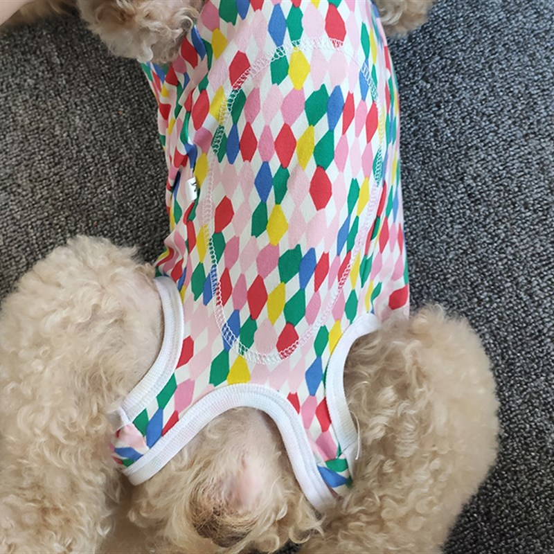 泰迪春夏薄款狗狗衣服包肚子彩色背扣式纯棉母狗绝育术护理断奶服图片