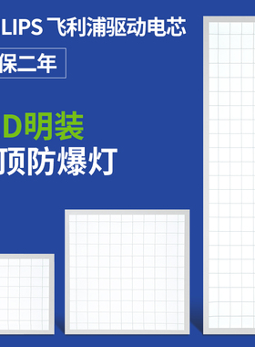防爆明装平板灯办公室厂房300*1200吸顶灯石膏矿棉板仓Z库厨房吊