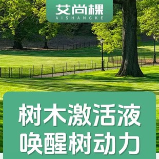 罗汉松专用营养液复合肥叶枯病黄叶烂根白粉专用药大型黑松树复活