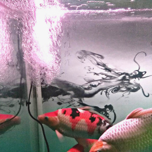 增氧器氧气泵充氧打氧文氏管加氧制氧静音水族增氧鱼缸增氧大气量