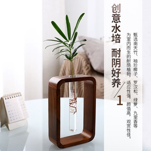 榫卯艺术花器绿萝水培办公室桌面鲜花鲜切绿植盆栽花卉植物室内花