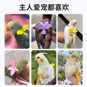 玄凤鹦鹉背带飞行绳小鸟类飞行衣服屎兜粪兜尿不湿可爱放飞绳超轻