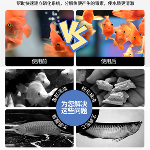 新款循环系统免换水客厅桌面圆形小型造景全套鱼缸制氧过滤一体机