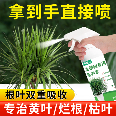 龙血树专用肥料龙须树营养液室内盆栽治黄叶干尖专用型绿植有机肥