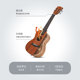 班士顿尤克里里单板23寸女男初学者儿童小吉他乌克丽丽入门26寸