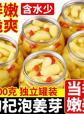 淄博枸杞泡姜芽新鲜嫩姜芽酸甜腌制泡菜下饭菜仔姜糖醋生姜姜片