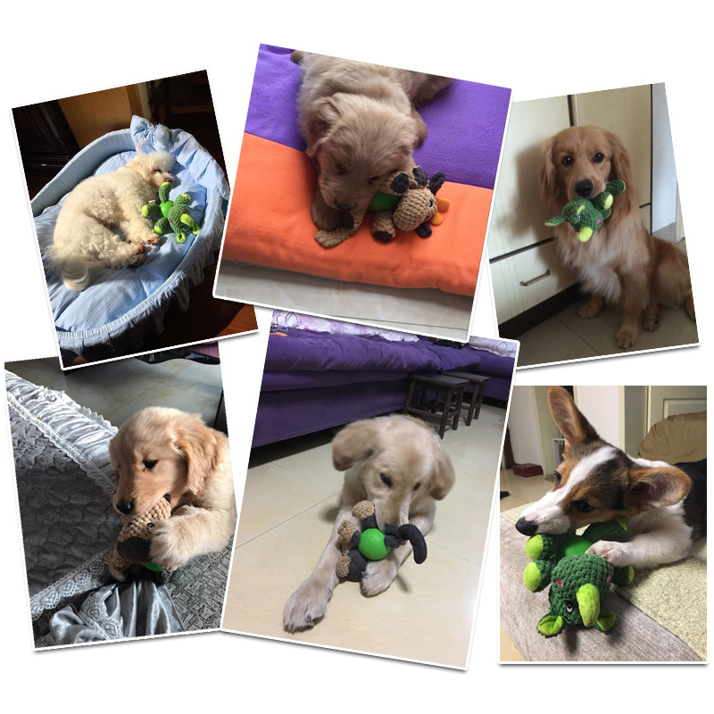 宠物玩具宜特狗狗磨牙耐咬毛绒幼犬玩具金毛泰迪萨摩耶发声玩偶