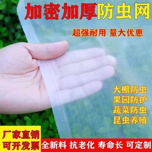 防虫网种菜果树防虫网纱网种菜专用网F果树防乌网草莓防鸟罩防蝇