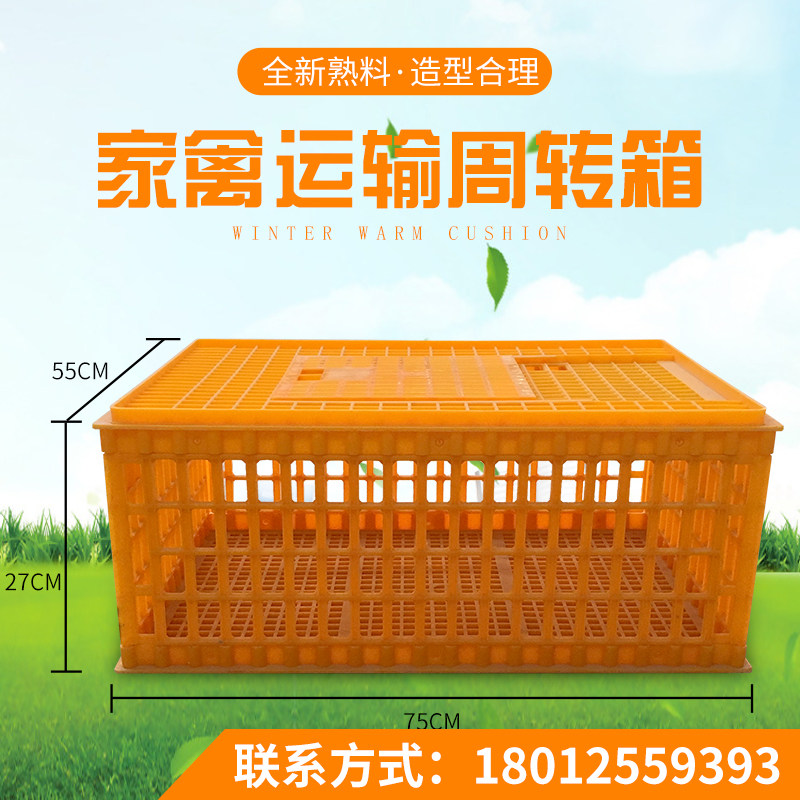 加厚鸡笼鸡用运输框成鸡鸭鹅鸽子周转筐家禽塑料周转箱养殖运输笼,畜牧/养殖物资,畜牧/养殖器械,淘宝优惠券,粉丝福利购,淘宝优惠卷
