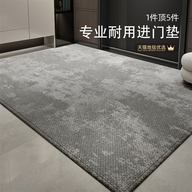 入户门地垫轻奢高级家用进门脚垫大门口防滑耐脏免洗除尘玄关地毯