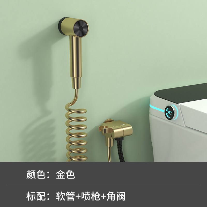 枪灰马桶伴c侣套装全铜卫生间阳台浴室厕所冲洗妇洗器家用PQ2302