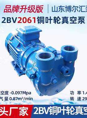 2BV2061水环式真空泵打桩机机械密封1.45kw铜叶轮水环式真空泵