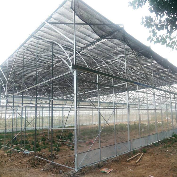 热镀锌骨架建造薄膜温室圆拱形大棚一体化设计葡萄种植采摘园林