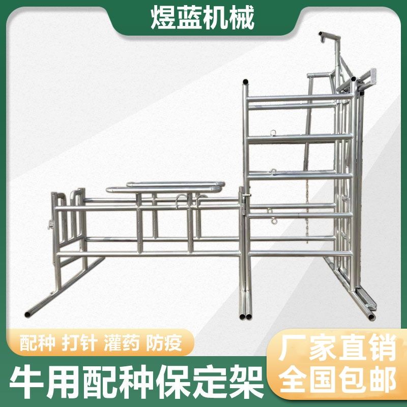热镀锌配牛架牛用配种架保定架打针防疫固定神器定位专用固定厂家