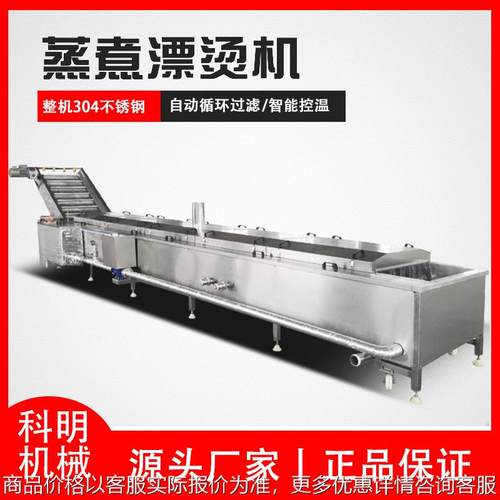 水果漂烫机提升式山楂罐头漂烫蒸煮设备橙子清洗漂烫冷却流水线