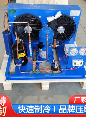 自动除霜冷库制冷机组Condensing unit果蔬保鲜制冷压缩机组