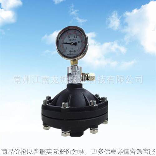 pvc脉冲阻尼器 充气式缓冲器 隔膜式缓冲器膜片 均流器LCPD-P