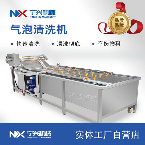 宁兴 果酱加工前端设备 不锈钢洗果机 全自动瓜果蔬菜清洗流水线