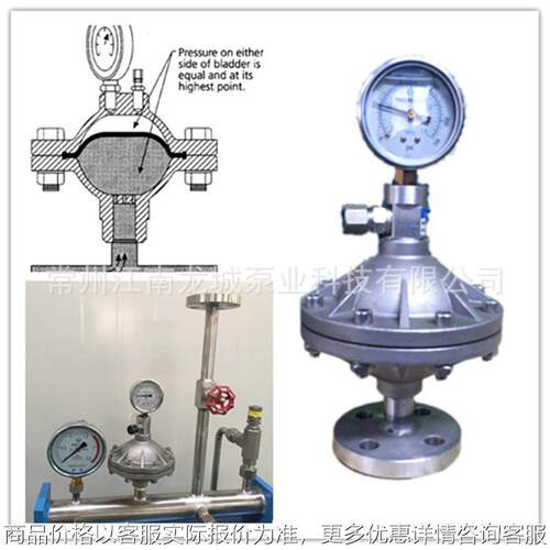 不锈钢隔膜式缓冲器 阻尼器 均流器 计量泵缓冲器型号LCPD-S