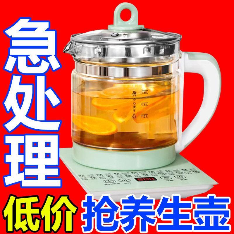 德国养生壶多功能办公室煎药壶全自动玻璃电热烧水壶蒸煮煮花茶器